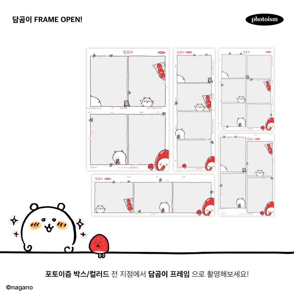포토이즘컬러드 이미지