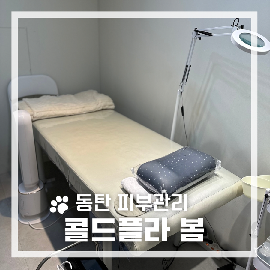 그랑플라 이미지