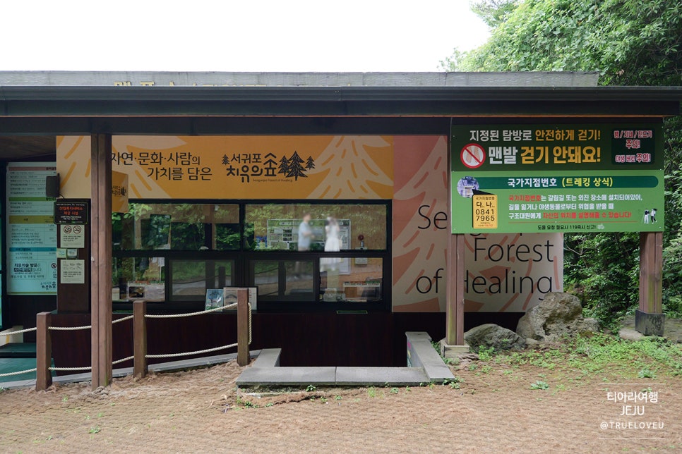 내몸愛힐링 이미지