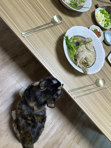 명장옻닭 이미지