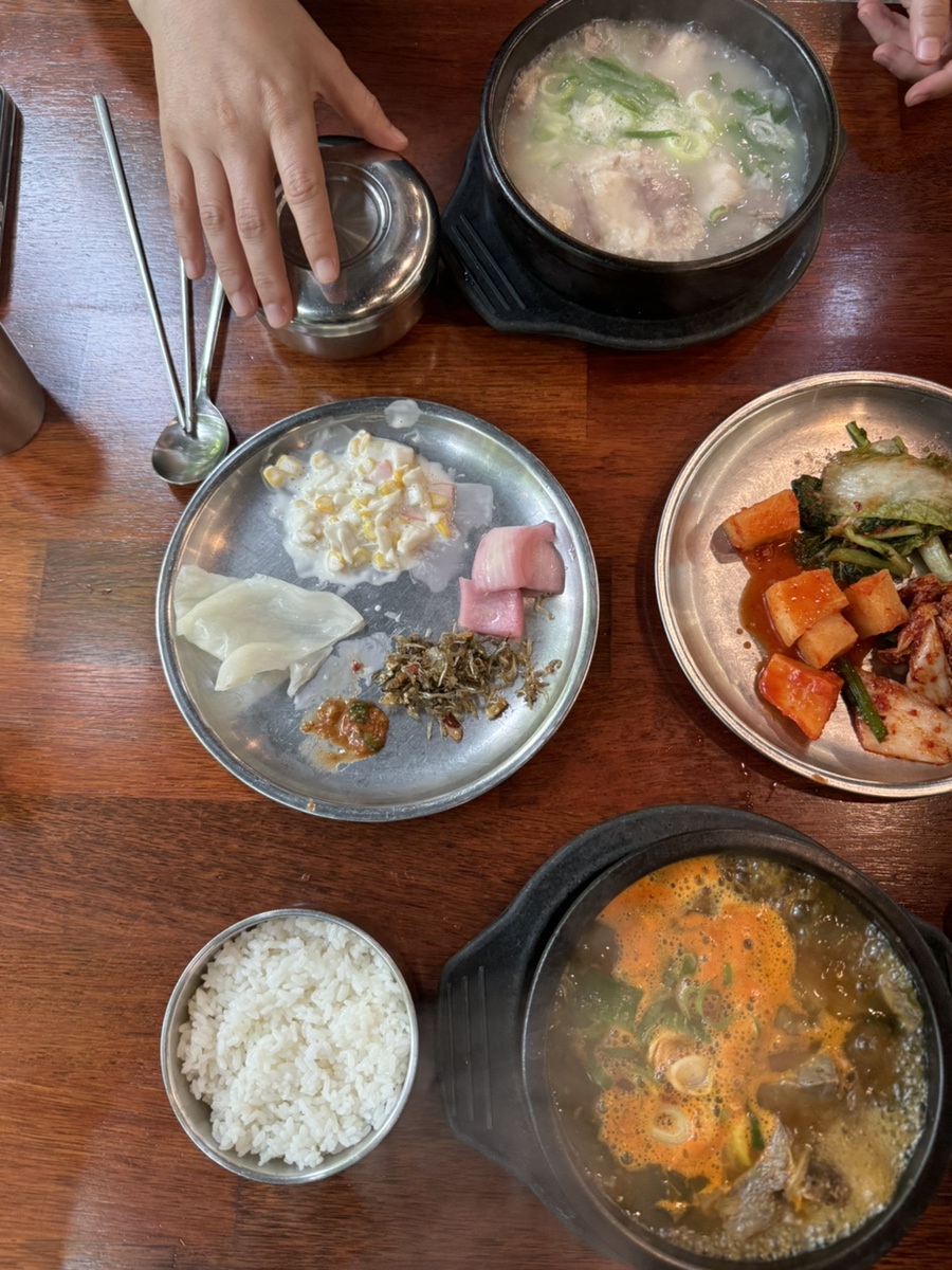 메테스 이미지