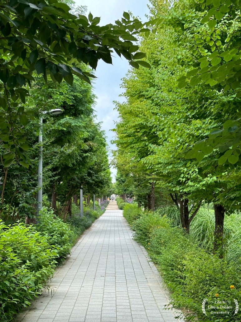 숲길 이미지