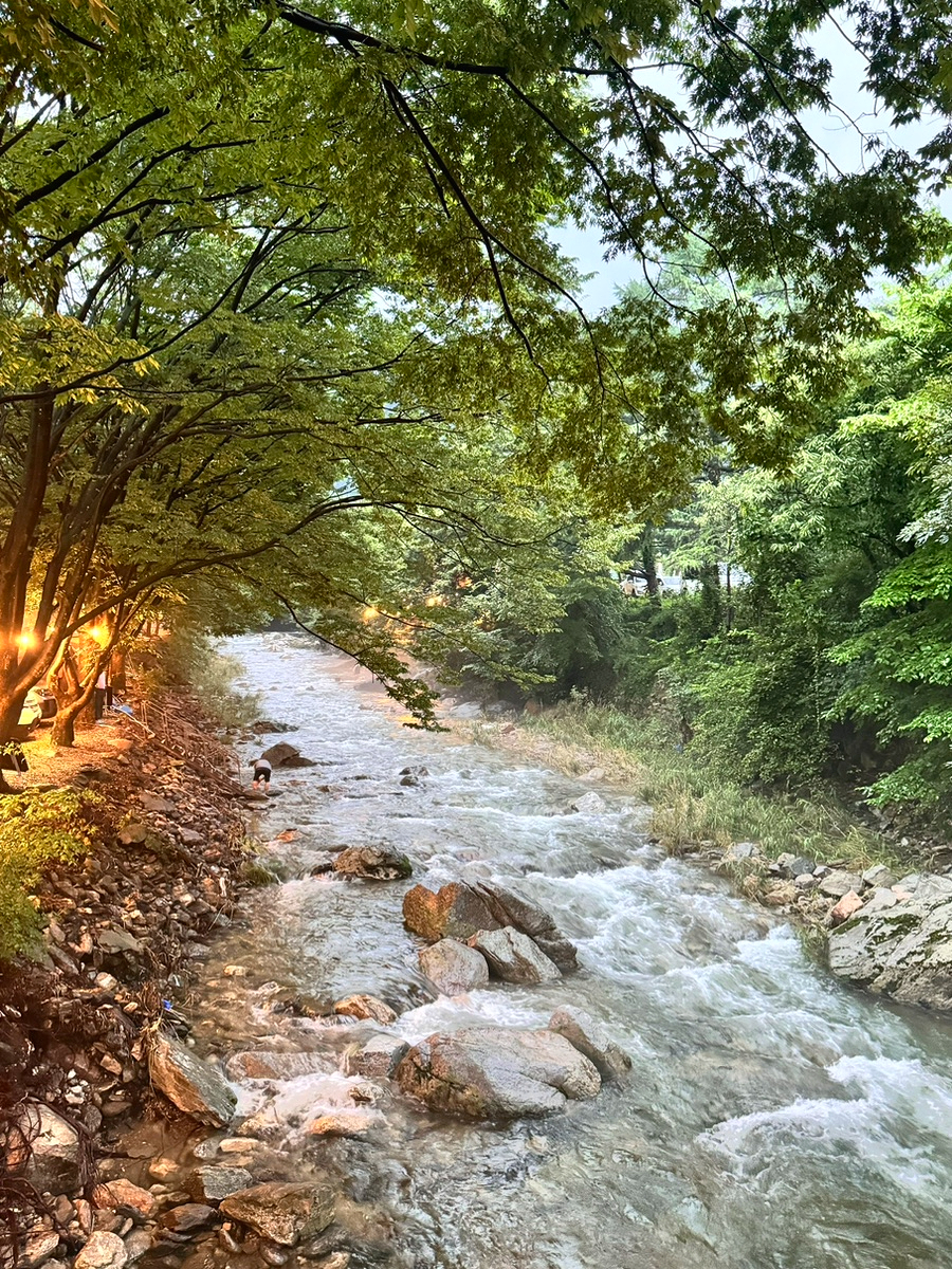 유명산258 이미지