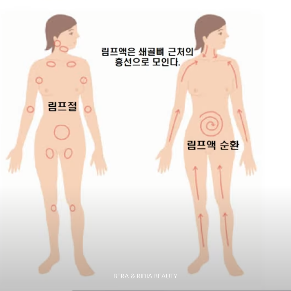 베라바디테라피 이미지
