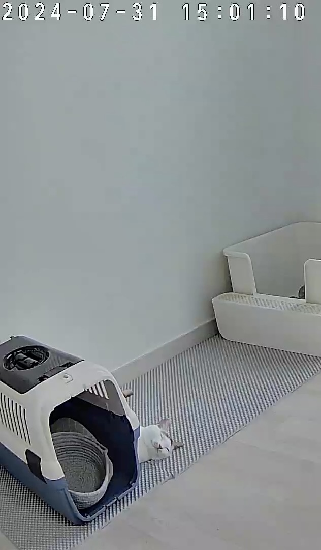 홍성한우우리소 이미지