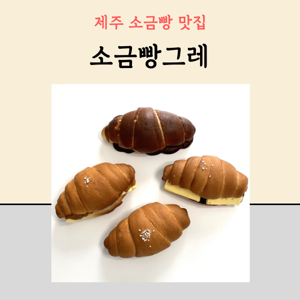 소금빵그레 이미지