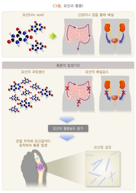 미소들노인전문병원 이미지