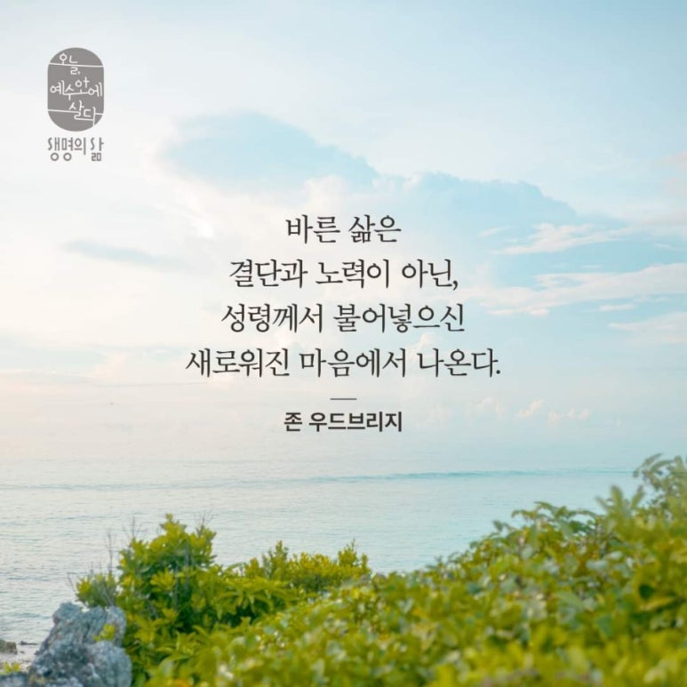 큐티하랑 이미지