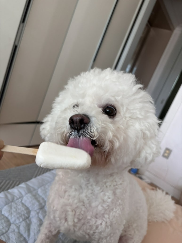 독스아일랜드 이미지