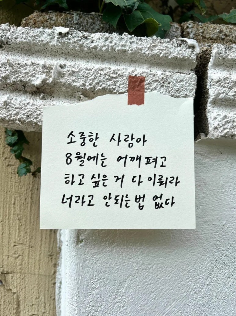 건강다이어트카페 이미지