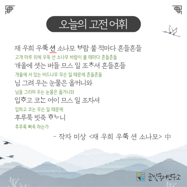 소나모 이미지