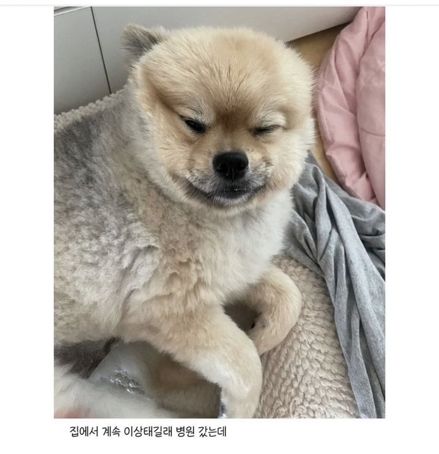 없음 이미지