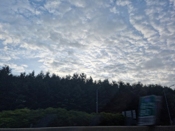 별비담캠핑장 이미지