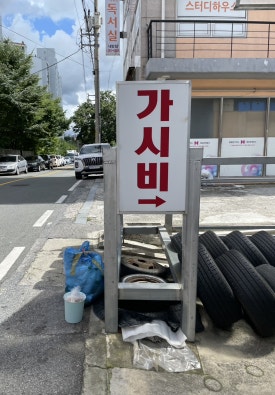 가시비 이미지