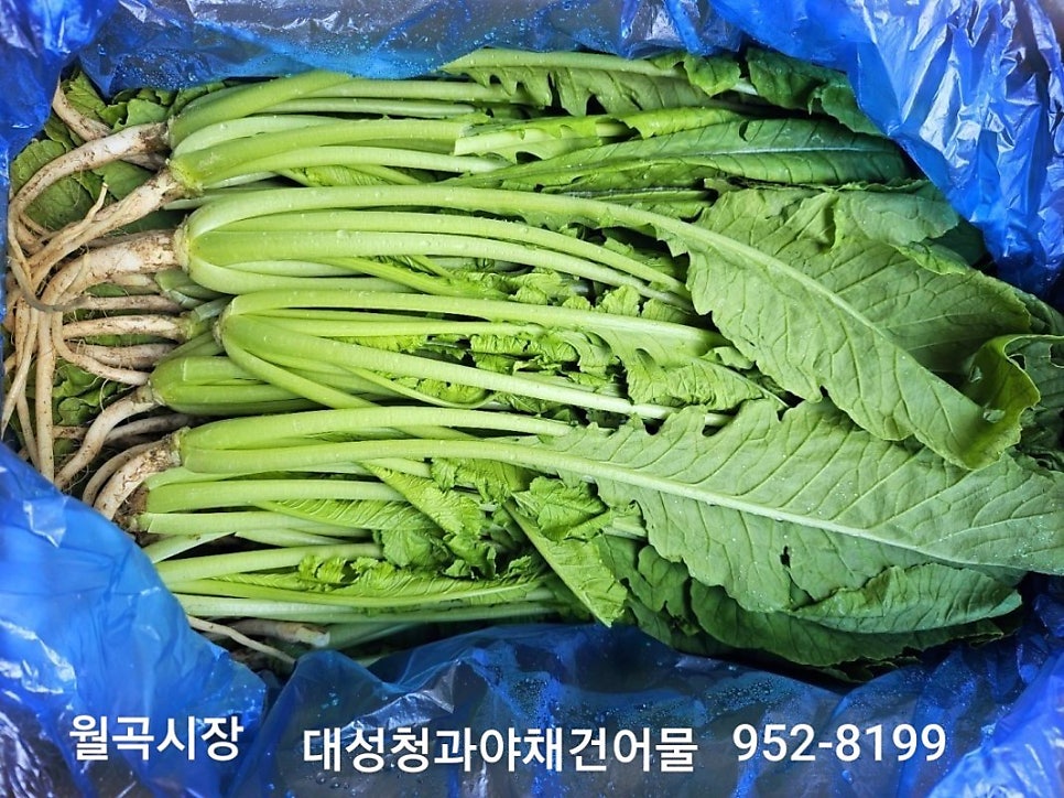 대성청과 이미지