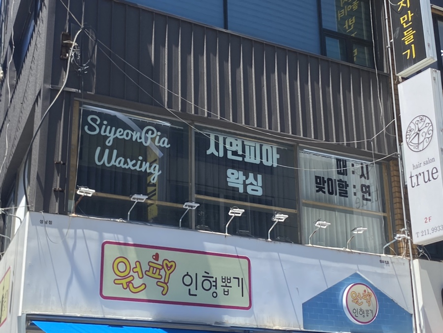 시연피아 이미지