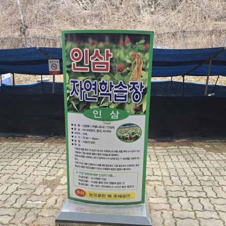 금산홍삼휴게소 이미지