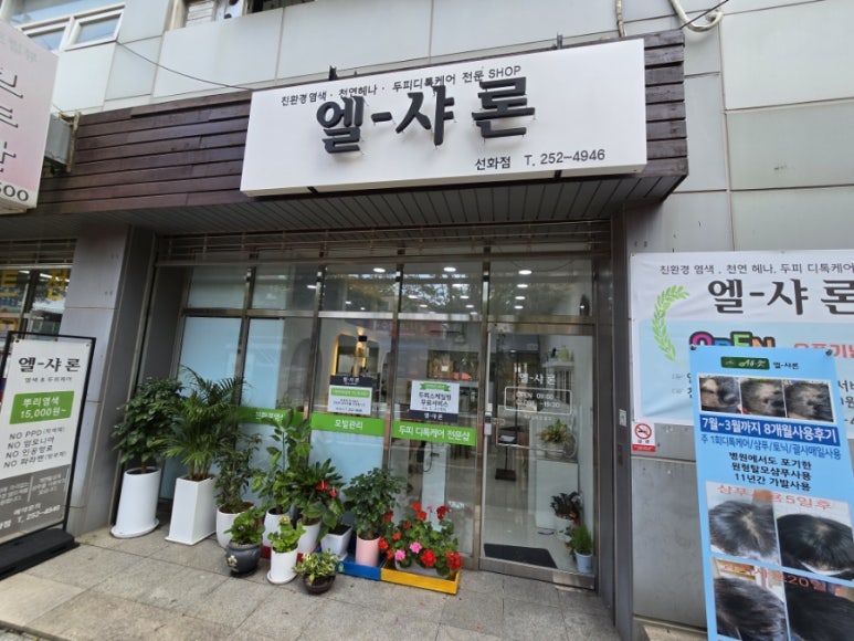 엘샤론 이미지