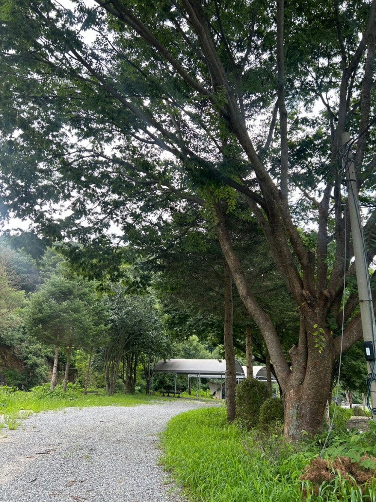 연몽캠핑장 이미지