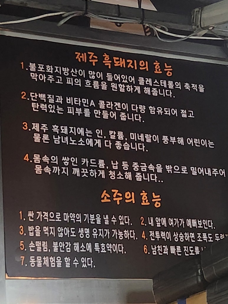 제주부리는돼지 이미지