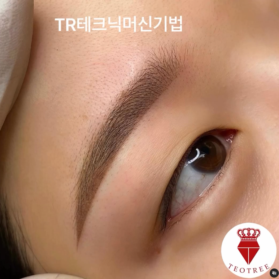 테오트리성남 이미지