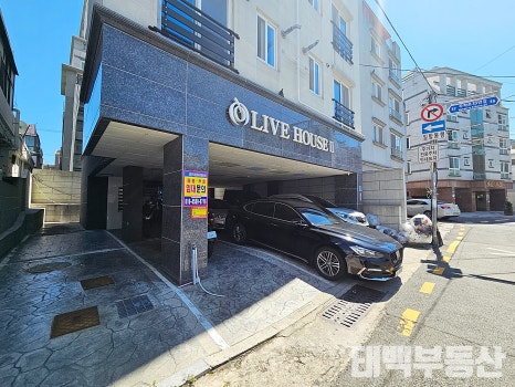 올리브하우스 이미지
