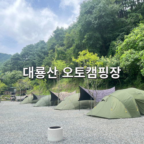 대룡산오토캠핑장 이미지