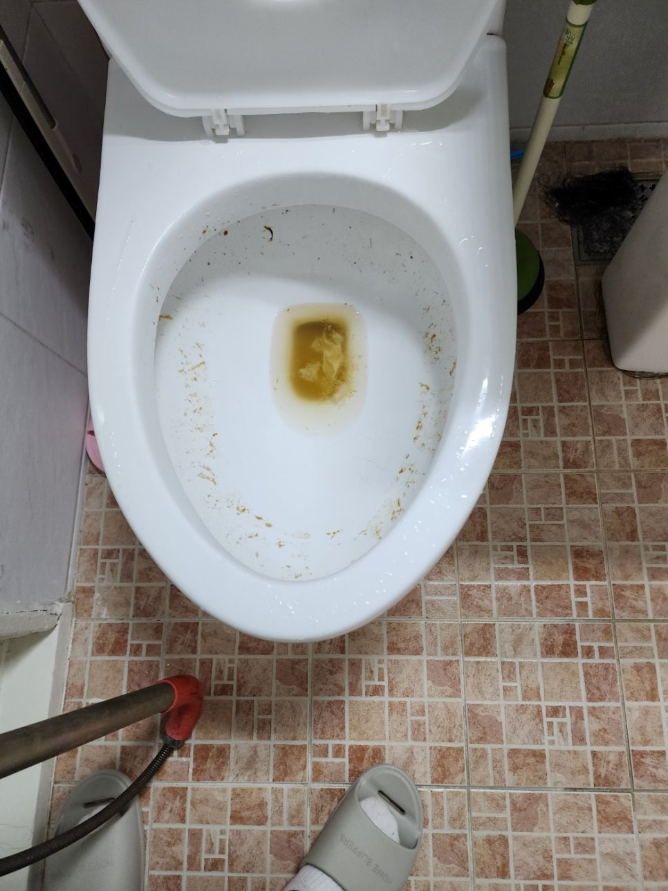 변기막힘 이미지