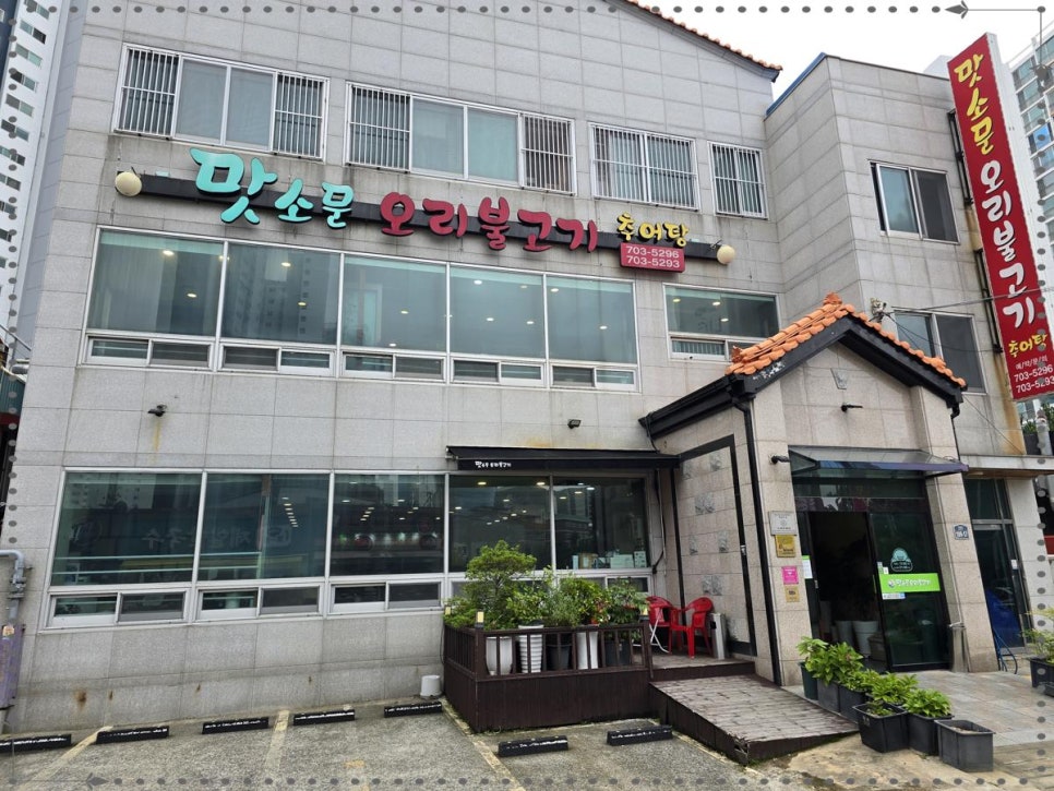 싱싱오리 이미지