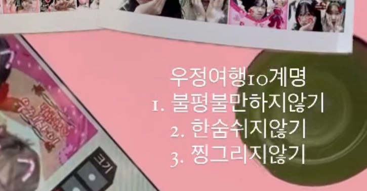앵초 사진 4