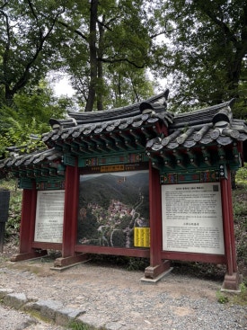 지리산둥지 야영장 이미지