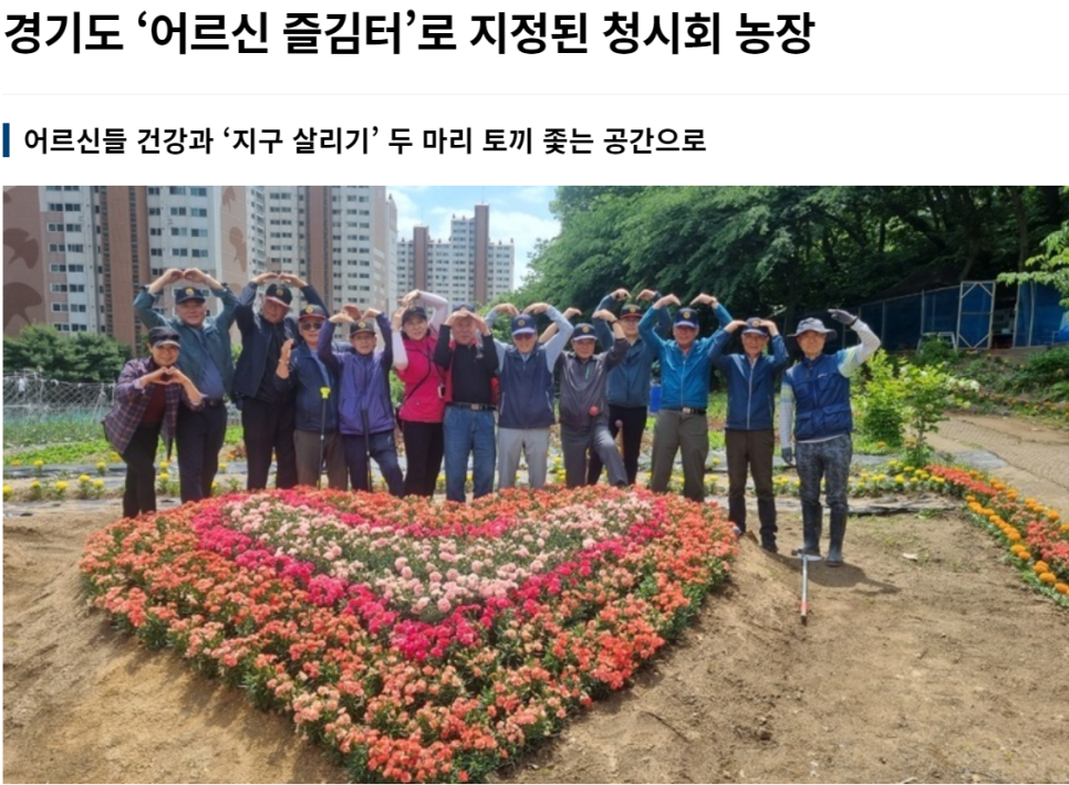 (주)도로시앤컴퍼니 이미지