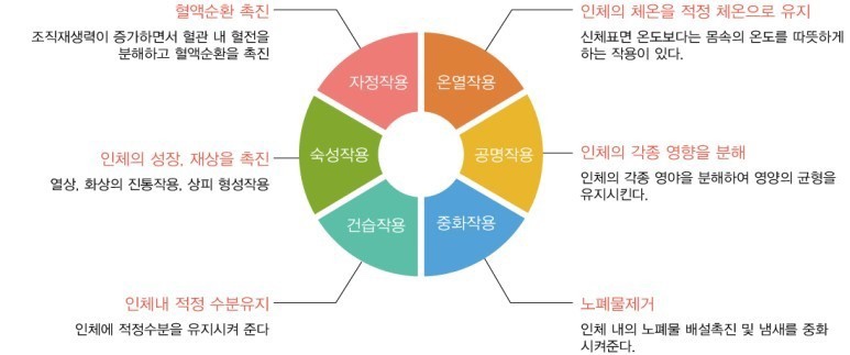 와와점핑다이어트 이미지