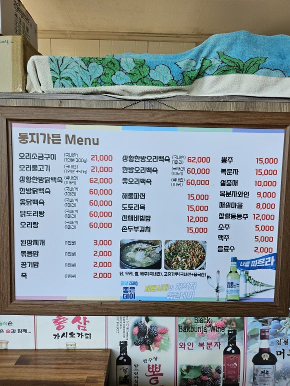 둥지생오리 이미지