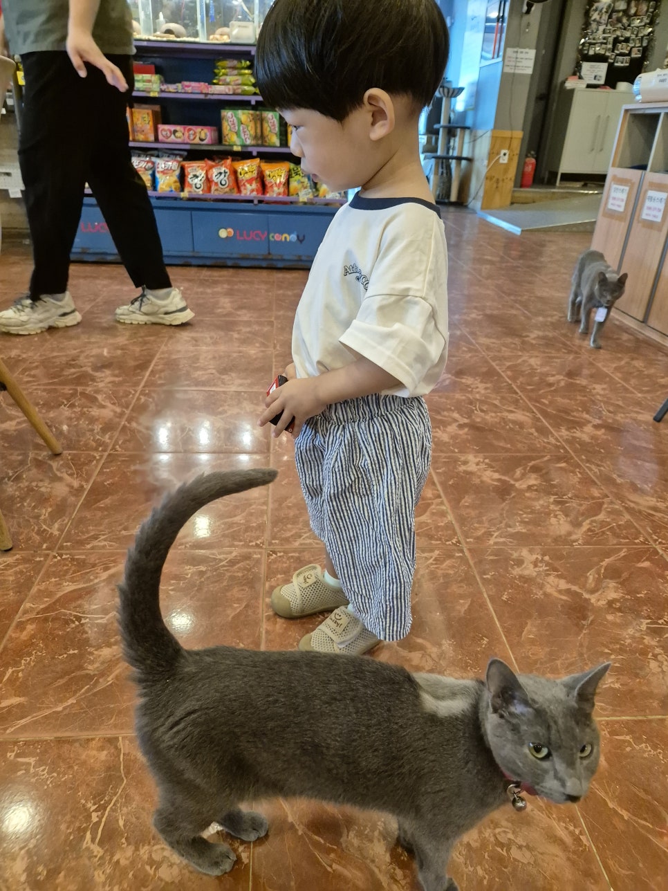 (주)헬로파크 이미지