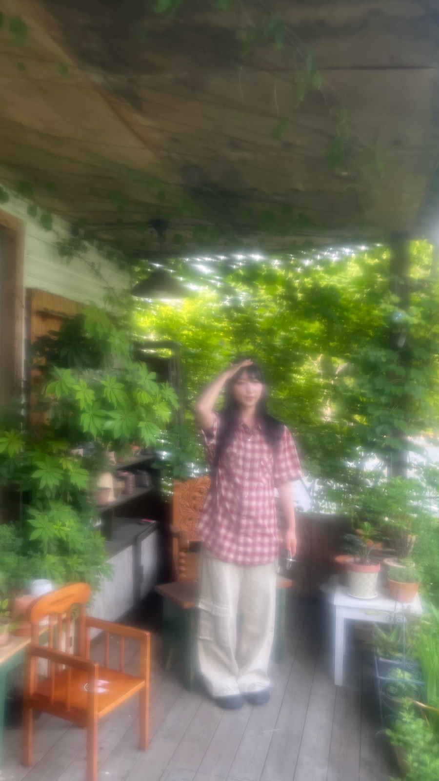 금채샵 이미지