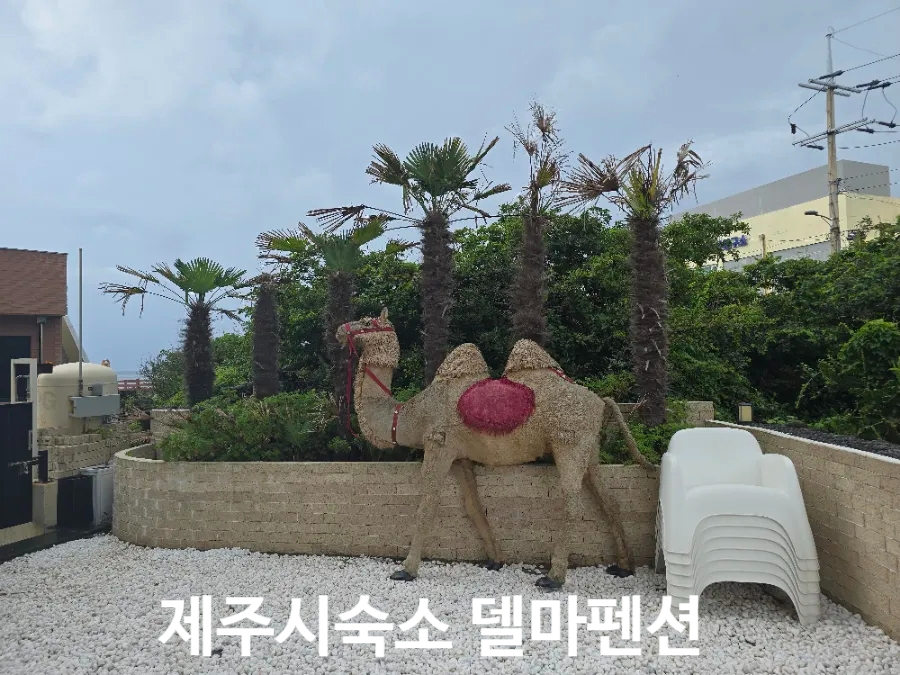 델마펜션까페 이미지