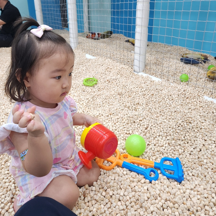 방방쓰 이미지