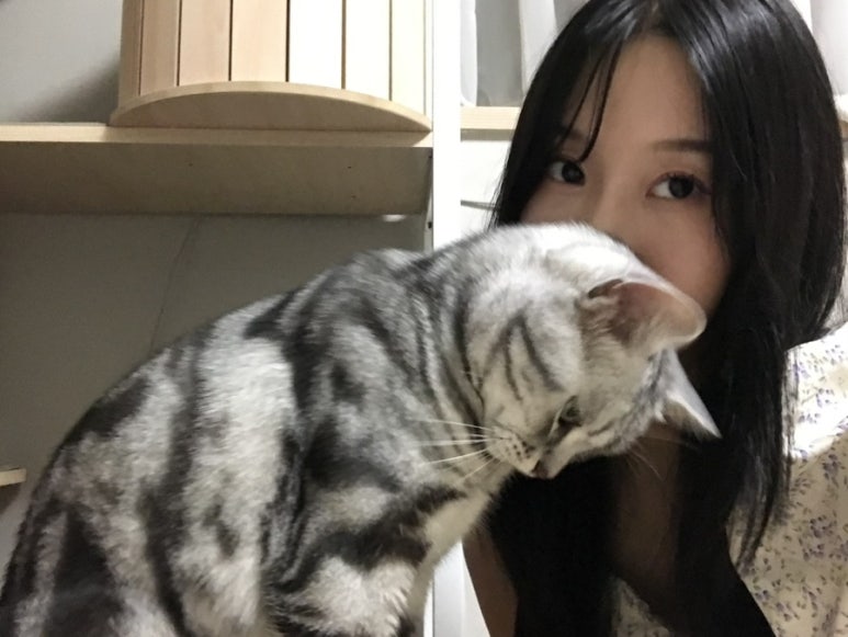 옥스플루트 이미지