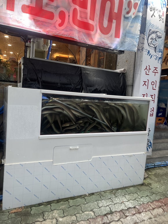 오늘은 너닭 이미지