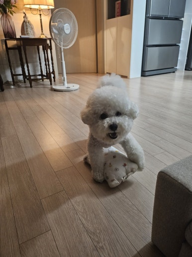 JH한바구니 이미지