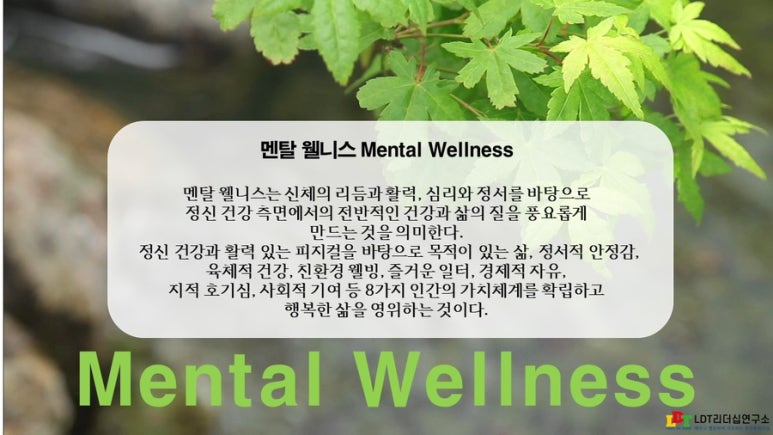 건강멘탈연구소 이미지