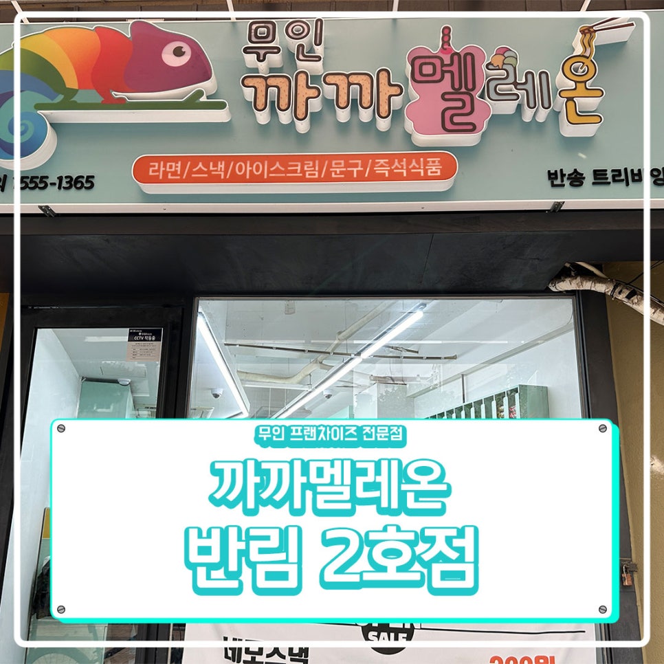 까까멜레온 이미지