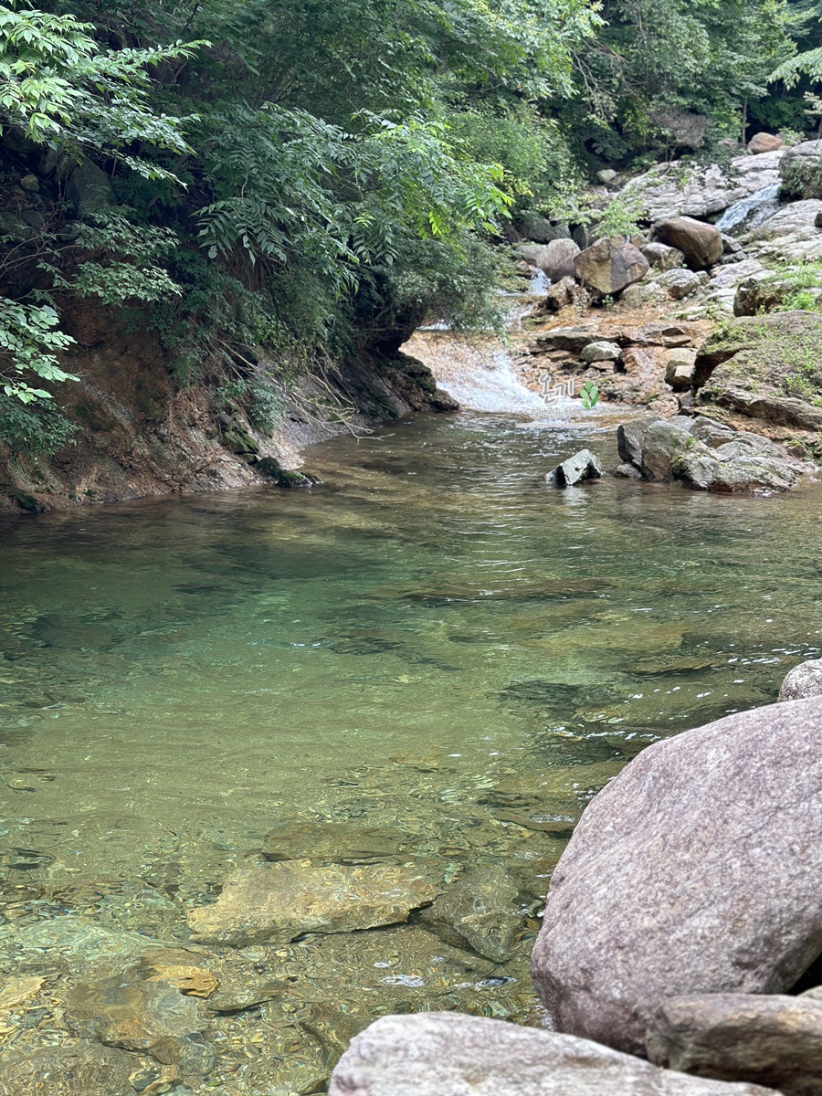 꽃사슴산장 이미지