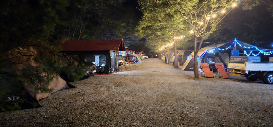 카인드모터스 이미지