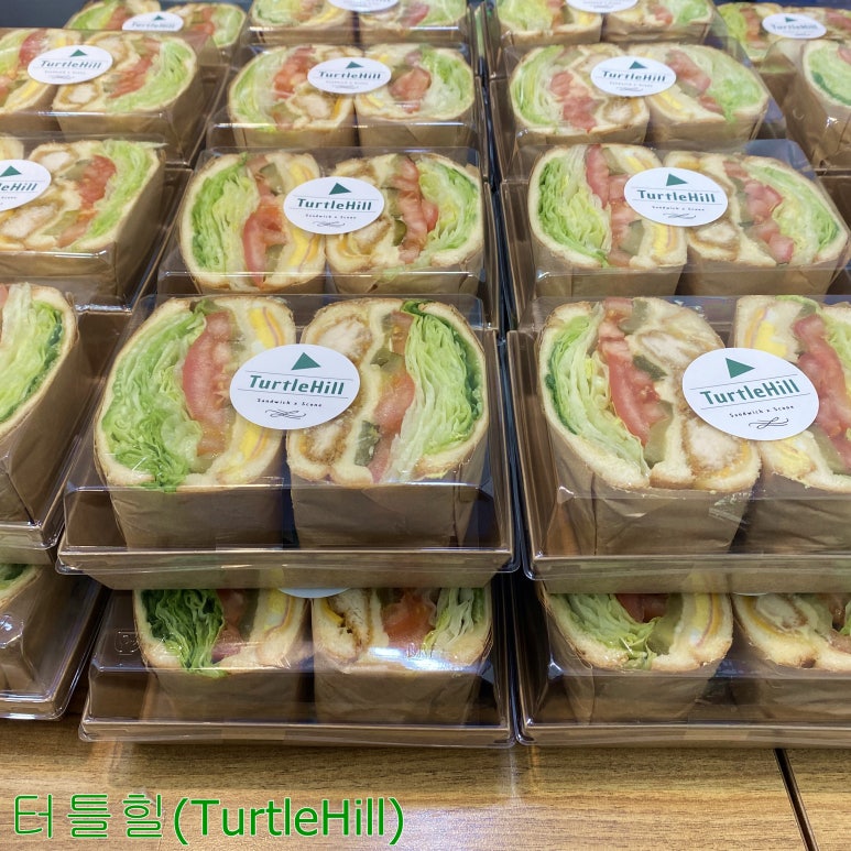 터틀힐 이미지