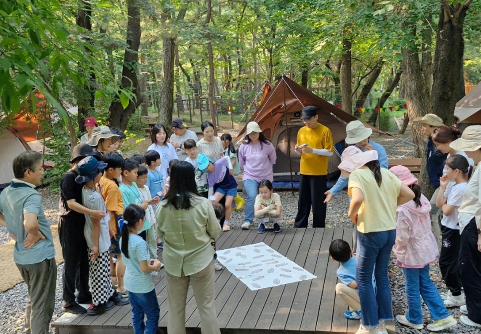 관악산 계곡 캠핑장 이미지