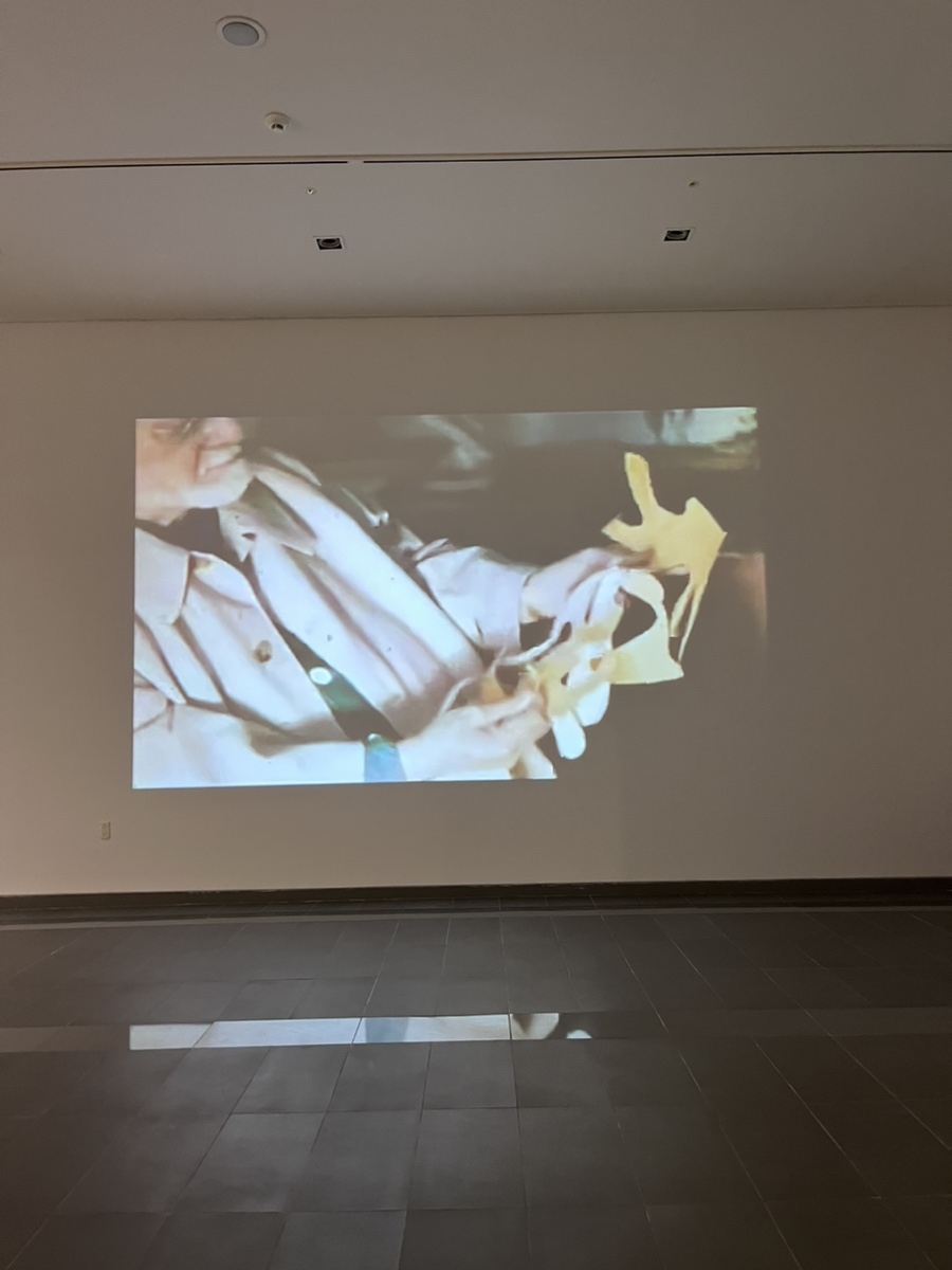 볼라르화랑 이미지