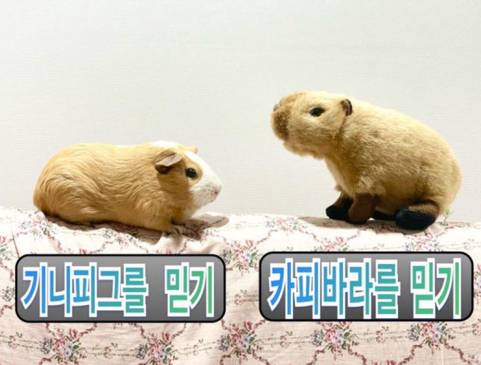 대경사 이미지
