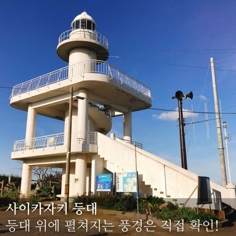 떼아모 이미지
